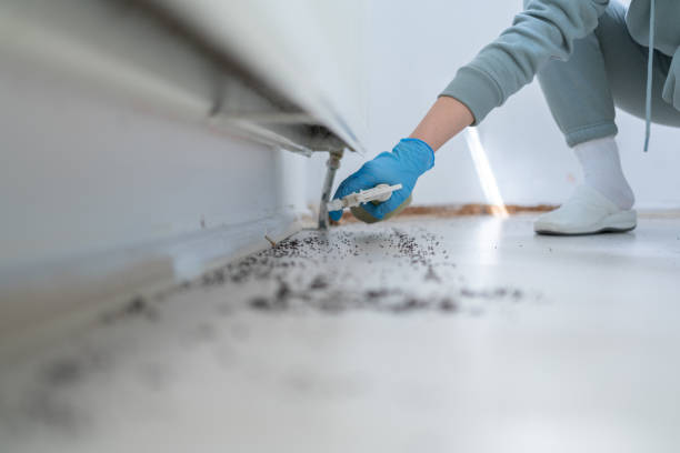 Pest Prevention Services in South Venice, FL